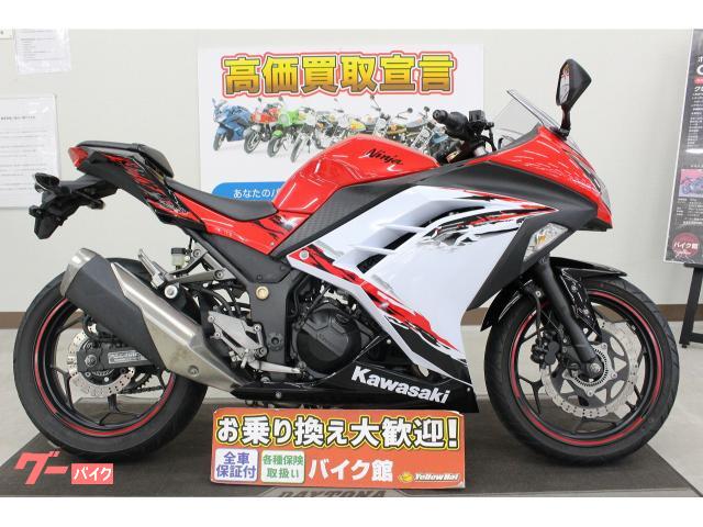 Ｎｉｎｊａ　２５０　ＳＥ　ＡＢＳ