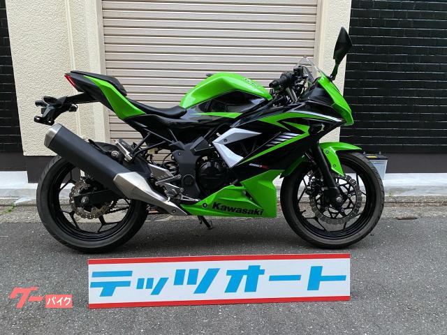 Ｎｉｎｊａ　２５０ＳＬ　２０１５年　グリーン　ノーマル　国内仕様