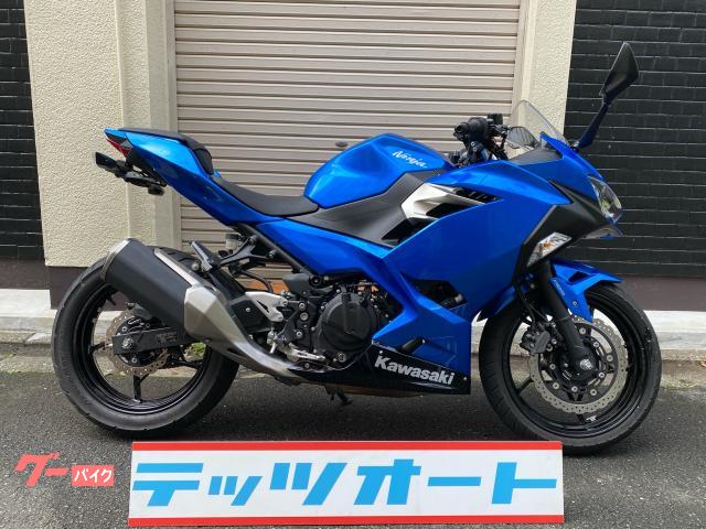 カワサキ Ninja 250ブルー 2018年 ノーマル