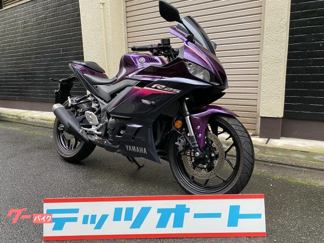 ＹＺＦ−Ｒ２５　ＡＢＳ　２０２３年　紫　アジャストレバー　スモークスクリーン