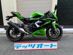 カワサキ　Ｎｉｎｊａ　２５０ＳＬ　２０１５年　グリーン　ノーマル　国内仕様