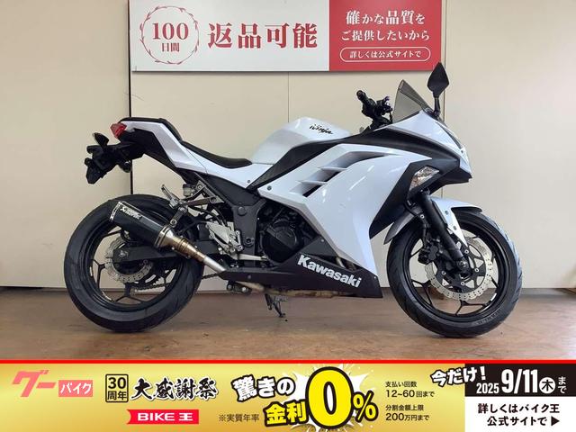 Ｎｉｎｊａ　２５０　　２０１４年モデル　ＥＸ２５０Ｌ型　カスタムレバー　ヘルメットロック　インジェクション