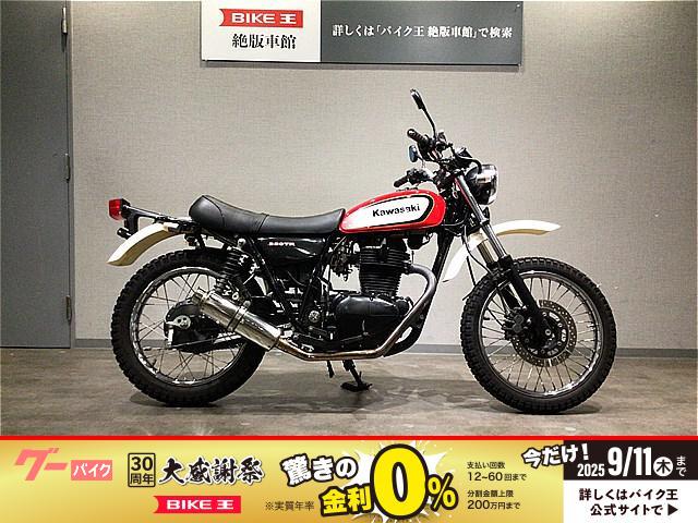 ２５０ＴＲ　ＢＪ２５０Ｆ型２００６年モデル　ＢＥＡＭＳ製マフラー・ＥＦＦＥＸ製ハンドル・スモールウインカー等カスタム多数