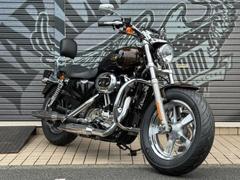 ＨＡＲＬＥＹ−ＤＡＶＩＤＳＯＮ　ＸＬ１２００Ｃ　カスタム　ハーレー１１０周年記念モデル　２０１３年モデル　ＥＴＣ　エンジンガード　バックレスト