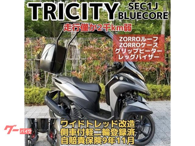 トリシティ