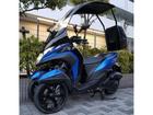 �ȥꥷ�ƥ�������