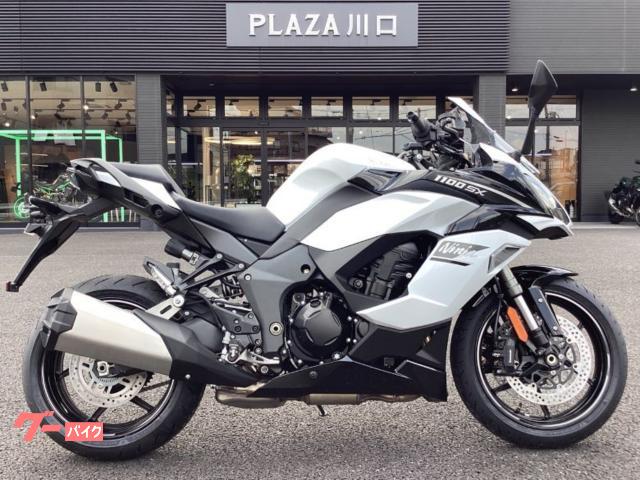 Ｎｉｎｊａ　１１００　ＳＸ