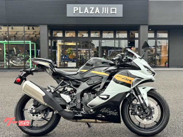 Ｎｉｎｊａ　ＺＸ−４Ｒ　ＳＥ