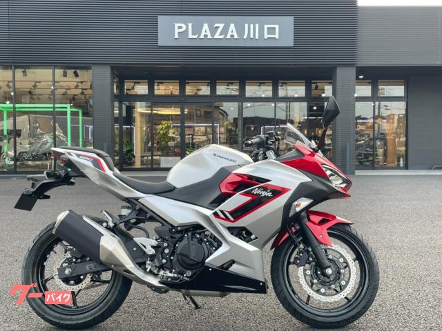 Ｎｉｎｊａ　２５０