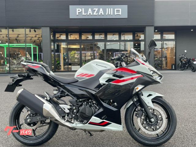 Ｎｉｎｊａ　４００