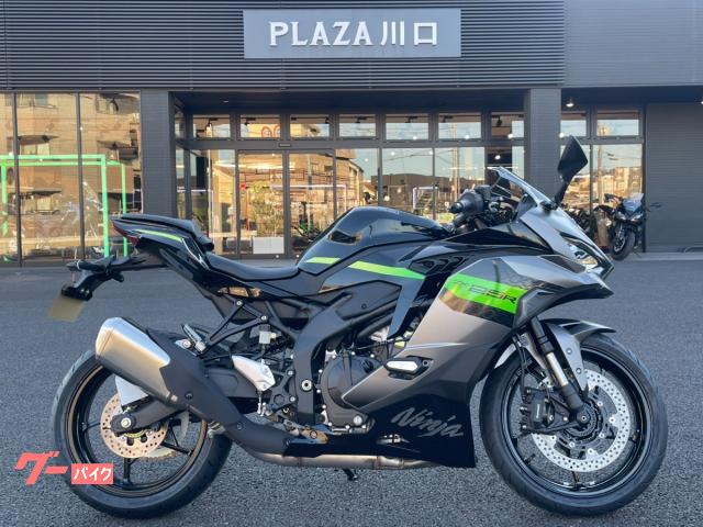 Ｎｉｎｊａ　ＺＸ−２５Ｒ　ＳＥ