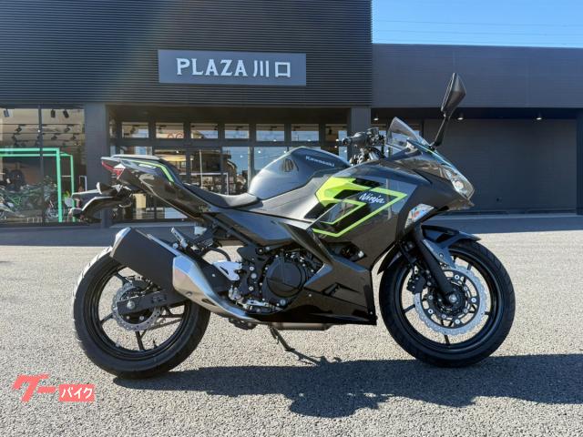 Ｎｉｎｊａ　２５０