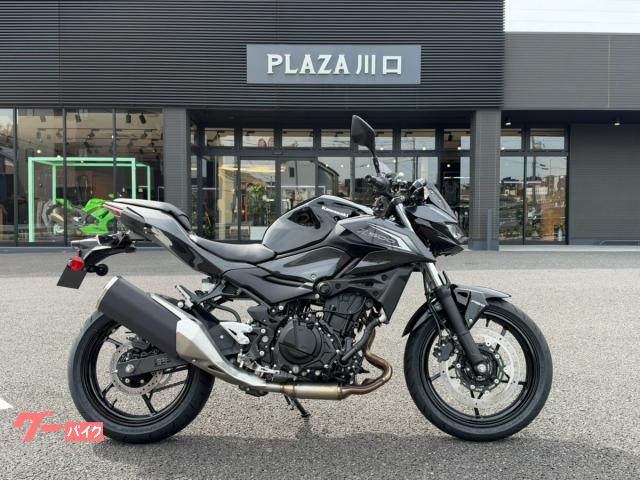 Ｚ５００