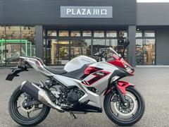 カワサキ　Ｎｉｎｊａ　２５０