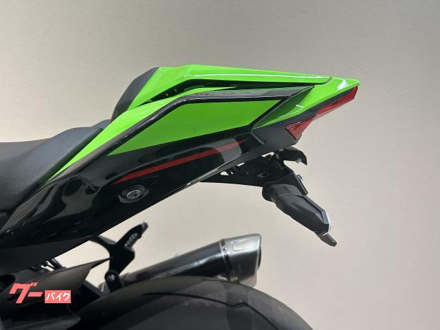 カワサキ Ｎｉｎｊａ ＺＸ－１０Ｒ ＫＲＴエディション ゲイルスピード 