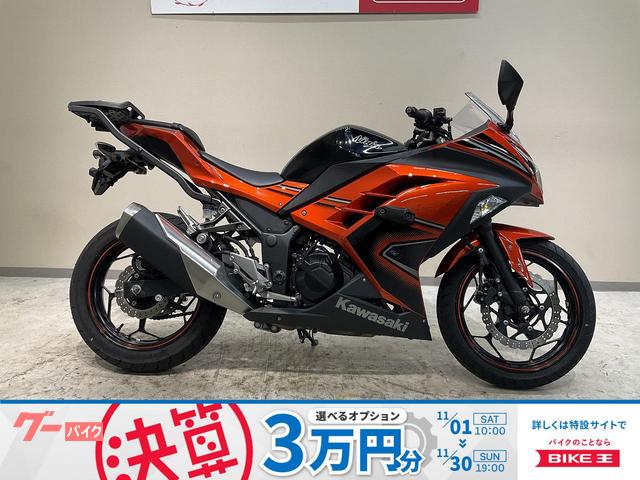 Ｎｉｎｊａ　２５０　スペシャルエディション　２０１４年モデル　エンジンスライダー　ＧＩＶＩ製トップキャリアアクティブ製レバー