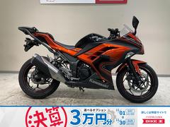 カワサキ　Ｎｉｎｊａ　２５０　スペシャルエディション　２０１４年モデル　エンジンスライダー　ＧＩＶＩ製トップキャリアアクティブ製レバー
