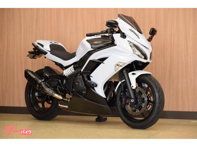 カワサキ Ninja 650 マフラートリックスター リアサスマトリス ブレンボキャリパー 社外アルミステップ 前後ドラレコ Etc