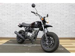 ホンダ　Ａｐｅ　２００９年モデル