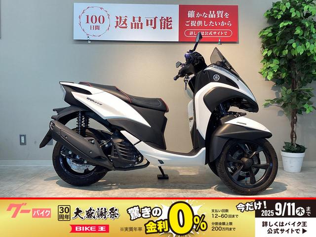 トリシティ　マルチバー