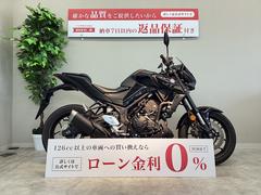 ヤマハ　ＭＴ−０３（３２０ｃｃ）