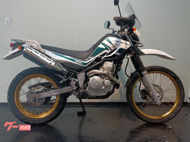 セロー250 インジェクションモデル スクリーン ナックルガード キャリア