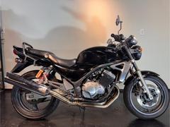 スズキ　ＧＳＸ２５０ＦＸ　タンデムバー付き　２００２年モデル　ＯＥＭ車　オイル・プラグバッテリー新品