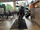 タイガー900ラリー PRO
