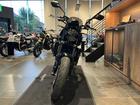 トライデント660 スクロールウィンカー ショートスクリーン ベリーパン ETC グラブレール ドラレコ グリップヒーター