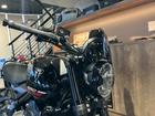 トライデント660 スクロールウィンカー ショートスクリーン ベリーパン ETC グラブレール ドラレコ グリップヒーター
