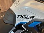 タイガー900アルパインエディション