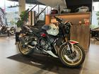 トライデント800 LEDヘッドライト LEDウィンカー クルーズコントロール クイックシフター フライスクリーン アンダーカウル