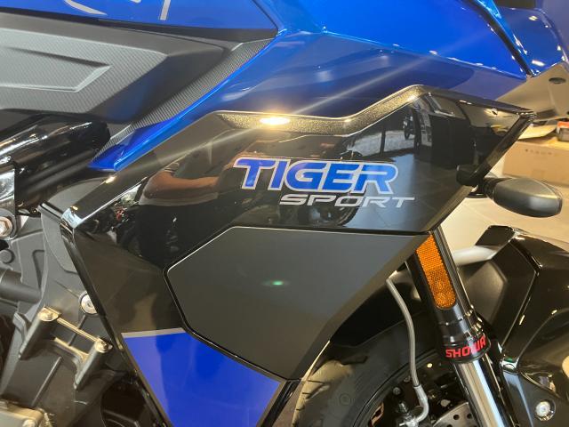 タイガースポーツ800 カスピアンブルー／ファントムブラック