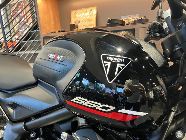 トライデント660 スクロールウィンカー ショートスクリーン ベリーパン ETC グラブレール ドラレコ グリップヒーター