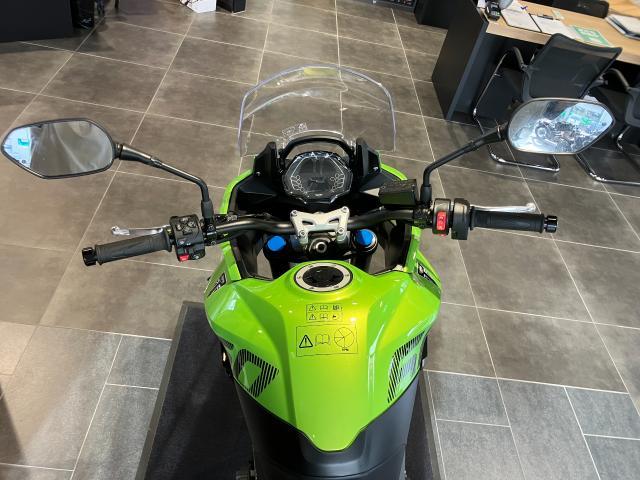 タイガースポーツ660 ルーレットグリーン