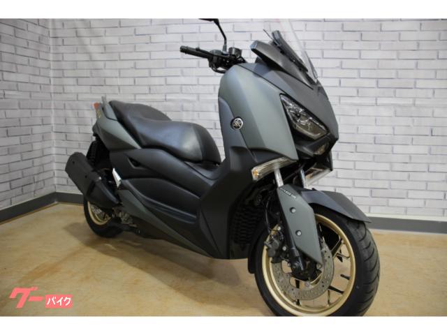 Ｘ−ＭＡＸ２５０　フルノーマル