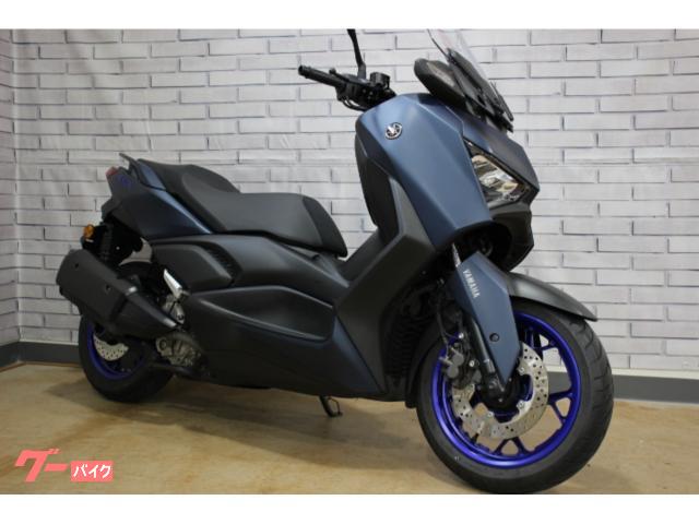 X−MAX250 フルノーマル