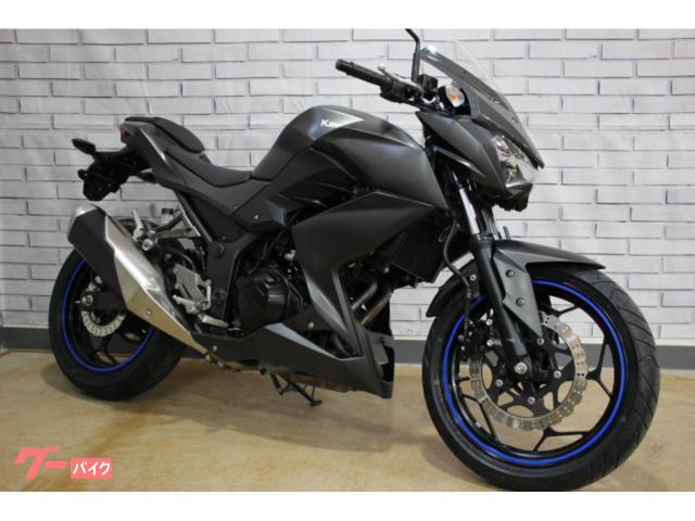 Ｚ２５０　カーボンバイザースクリーン