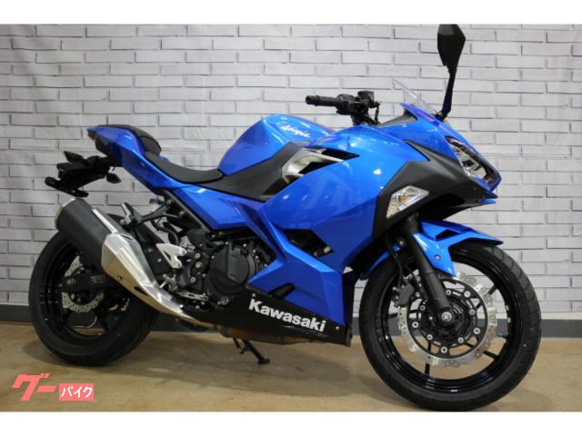 Ｎｉｎｊａ　２５０　２０１８年モデル　アクセサリーバー装備