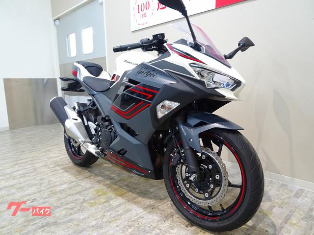 値下げしました！ボブルヘッド（グラスノー）2024 SPLM30J 8FFP 60 ポリス POLICE サングラス 2024年モデル