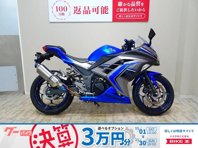 Ｎｉｎｊａ　２５０　２０１６年モデル／社外マフラー／エンジンスライダー／レバー・バーエンドカスタム