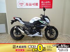 カワサキ　Ｚ２５０　２０１４年モデル／ＢａｂｙＦａｃｅ　エンジンスライダー