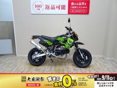 カワサキ　ＫＳＲ１１０　２００８年モデル／ＴＡＫＥＧＡＷＡマフラー／フェンダーレス