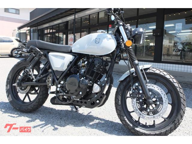 ＦＳＲ２５０　クールグロスグレー　正規輸入新車