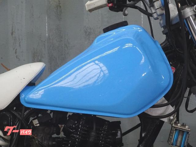 ヤマハ TW200 アクティブオイルクーラーキット ドラマ仕様