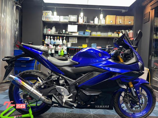 ＹＺＦ−Ｒ２５　ＷＲ，Ｓマフラー　ウリングプロテクター　ＤＢ，ｓローシート　マルチバー　ハンドルウェイト　ヘルメットホルダー