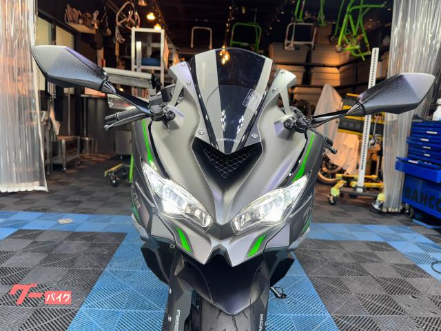 ぬれ様　専用ページ エーゼット (送料無料)AZ ラバーペイント ZEQUE 油性 RP-83