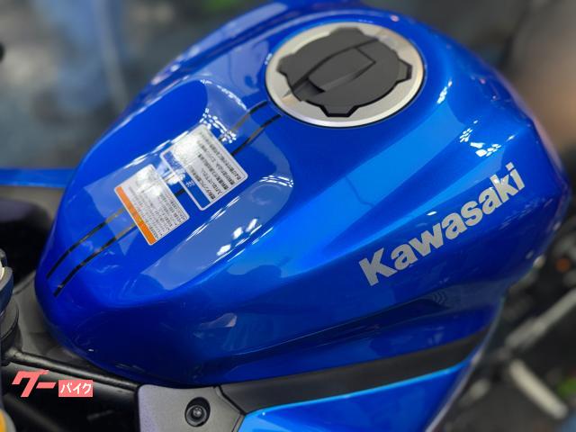 【限定値下げ✭8/30〜9/6迄！175000円！推定200年無銘手工品4/4】 Ninja ZX-4R SE 2025年モデル／ノーマル／低走行車両／最大80