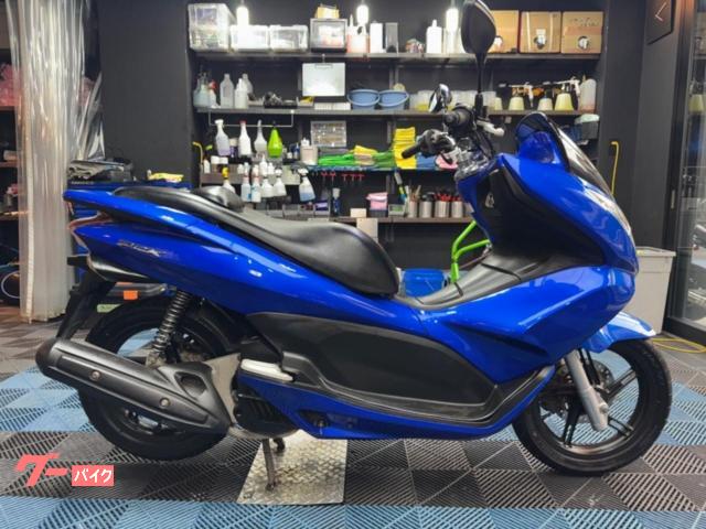 ＰＣＸ　納車整備付　２４ヵ月点検付