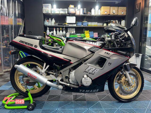 ＦＺＲ２５０　マフラー　ＬＥＤヘッドライトバルブ　水温＆電圧計